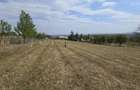 Teren Agapia 4270mp - platou - 1