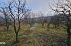 Teren extravilan 10,791mp Falticeni / Strada DJ209A, Opriseni