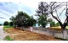 Vand teren intravilan 1796 mp, deschidere 30 m, utilitati complete - in orasul Piatra-Olt, jud Olt