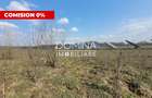 Vanzare teren intravilan, 978 mp, comuna Dragutesti, sat Urechesti - 1