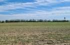 Teren agricol centura Buzia?, 1.14ha - 2