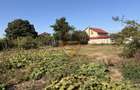 Casă cu teren de 1.400 mp – Palazu Mare