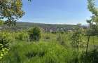 Tere intravilan Str Odobesti/Puz - 3