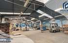 Hala industriala, depozitare vanzare,inchiriere Seitin Arad 10 km vama - 9