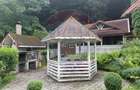 Cabana autentica de munte Frasinet - Baisoara 600 mp teren - 13