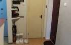 Dambu Pietros - Vanzare apartament 4 camere - Str. Ceahlau - 4