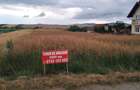 Vand doua parcele de teren intravilan, una de 3000 mp si una de 2869 mp