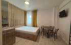 Apartament cu 1 camera Visan - 7