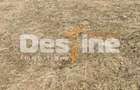 Teren 5000 mp, ideal cabana, pensiune, in zona de interes... - 5