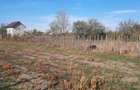 Teren de 1500 mp, în Vânători - 4