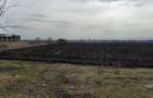 Teren de 3600 mp, în Hălchiu - 1