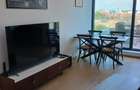 Penthouse în Riverside U2 avand 2 terase cu vedere către Râul Bega - 5