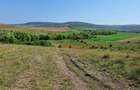 Teren extravilan ideal în satul Ciumăfaia, comuna Borșa, județul Cluj. - 3