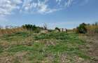Teren intravilan de vanzare - Tamadau Mare (25 km de Bucure?ti)