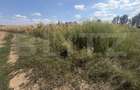 Teren extravilan, 9000 mp, zona Nusfalau