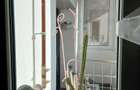 Apartament 3 camere de vanzare Gorjului - 6