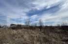 Teren extravilan de vanzare, 15.000 mp, zona Narcise II - 2