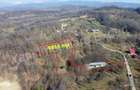Constructie + teren de vanzare in comuna Valea Iasului, judet Arges. - 4