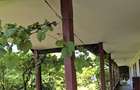 Vanzare vila P+1+M cu 5 camere, casa batraneasca , 2 garaje, teren 9249mp, - 21