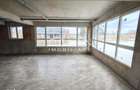 Spatiu Comercial 305 mp+ gradina 178mp, Bieltz/Turnisor - 1