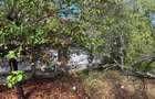 Teren intravilan de 3.500 mp in Viile Satu Mare - 6