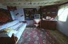 Teren de vanzare + casa in Gorghesti, Bacau 7.391 mp, zona linisti - 1