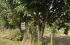 Teren OSOI(com Comarna) 3200 mp contact : 0 7 8 7 5 6 6 4 4 9 - 5