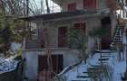 Casa de vacanta cu teren cu vita de vie - 3