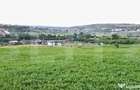 Teren intravilan ,4039 mp,in cartierul Borhanci - 1