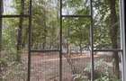 2 camere spre inchiriere - 10