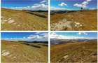 teren intravilan Padina Peștera 628mp Cocora-Babele zona alpină înaltă - 6