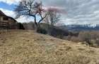 Teren Premium in Fundata: 3,784mp de Priveliste Panoramica - 2