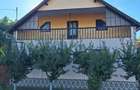 Casă cu 2 camere cu Teren 15000 Mp în Șiria - 1