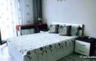Inchiriere apartament 1 camera Park Lake - 5