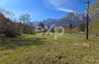 Teren intravilan în Bușteni, cu vedere spectaculoasă spre Crucea Caraiman - 1