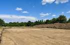 Teren 6000 mp pozitie deosebita lacul Baneasa adancime 140 m - 5