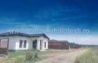 Teren Balotesti,padure Sri,19500 euro - 4