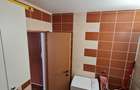Apartament de inchiriat 1 camera Cluj-Napoca, cart. Dambul rotund - 12
