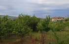 Teren intravilan Someseni (Selgros ) + cladire de locuit - 2
