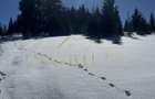 Teren intravilan 800 mp, PUZ , 200m de partia de schi Marisel - 6