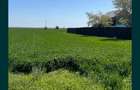 Vand teren intravilan - 1