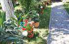Calea Șagului | 3 Camere | 2 bai | Teren în proprietate 190 mp | Curte amenajat - 1