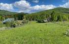 Proprietar vand teren intravilan in Valea Doftanei - 3