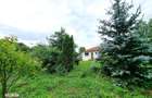 Casa parinteasca cu gradina generoasa cauta om gospodar - 6