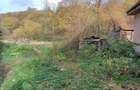 Casă cu 4 camere cu Teren 2878 Mp în Dognecea - 1