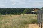 Vand Teren intravilan Branesti Str Violetelor 1036mp direct proprietar - 7