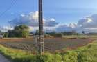 Teren intravilan 1455 mp | 31 m deschidere | Curent + Internet | 25 min Brasov - 4