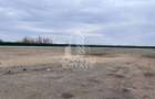 Teren de inchiriat 7000 mp | Platforma pietruita | Acces TIr | Depozit - 2