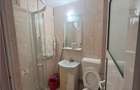 Apartament cu 2 camere de inchiriat in Alba Iulia - 3