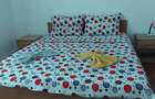 Propietar vand duplex Costine?ti. - 8